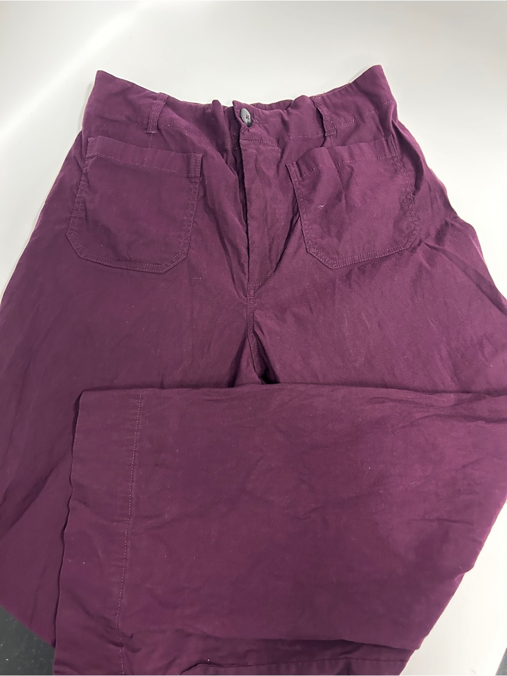 Anthropologie women’s Chinos in Plum